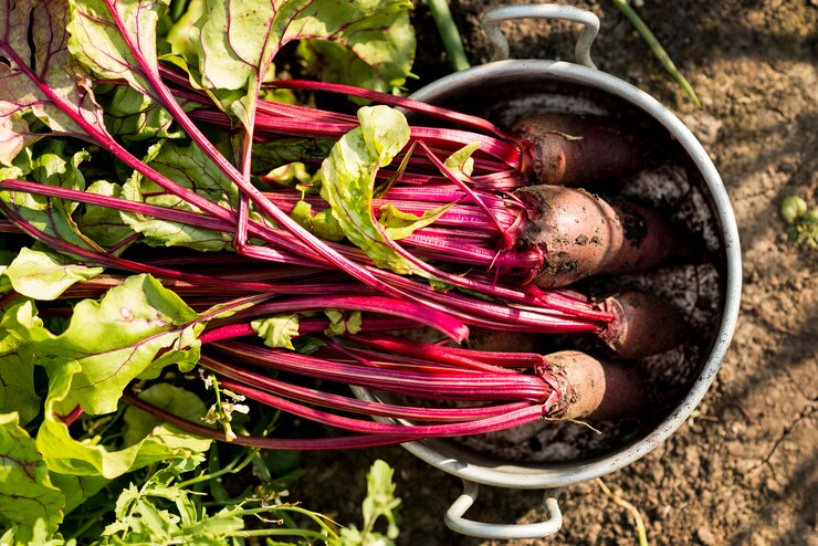 What are Super Beets side effects?